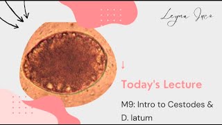 PARASITOLOGYM9 INTRO TO CESTODES amp Diphyllobothrium latum [upl. by Phiona]