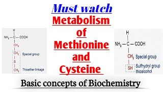 Methionine Metabolism  Homocysteine  Cysteine  Folate trap  biochemistry [upl. by Annazor]