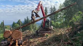 Loading Logging Trucks [upl. by Cynde882]