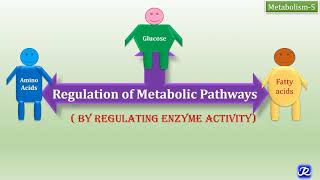 5 Regulation of Metabolic Pathways  Mechanisms of Regulation of Enzyme Activity Metabolism5 [upl. by Maclean]