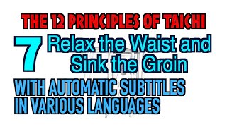 taichi chuan  【THE 12 PRINCIPLES of Taichi】 7 Relax the Waist and Sink the Groin  With automati [upl. by Noiro]