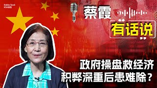 蔡霞有话说：政府操盘救经济 积弊深重后患难除？ [upl. by Younglove918]