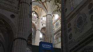 WALK in SALAMANCA❤️ with 𝕎𝕀ℕCHAN  𝑪atedral spain 4k catedral church travel salamanca [upl. by Hubert663]