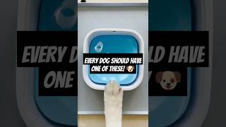 Dog safe water bowl 🐶 Say no to dirty water💧pets dogowner dog puppy dogparents [upl. by Wesla323]