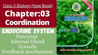 Ch3 Coordination  Pancreas adrenal gland gonads  Class 10 New biology book  Sindh board [upl. by Garrick175]