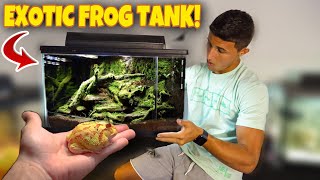 My ALBINO PACMAN FROG Gets NEW Home [upl. by West]