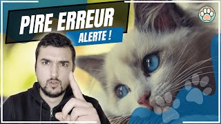 COMMENT PUNIR EFFICACEMENT SON CHAT [upl. by Atims]