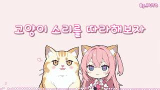 오르골 고양이 소리를 따라해보자 오르골 Music Box ver [upl. by Keese811]