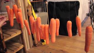 Musical Carrots with Makey Makey [upl. by Harriman]