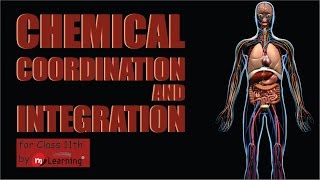 CHEMICAL COORDINATION AND INTEGRATION INTRODUCTION  01 For Class 11th and AIPMT [upl. by Laverna633]