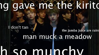 Stray Kids Misheard Lyrics [upl. by Nylirek]