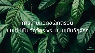 การถ่ายทอดอิเล็กตรอน แบบไม่เป็นวัฏจักร vs แบบเป็นวัฏจักร noncyclic vs cyclic electron transport [upl. by Milewski449]