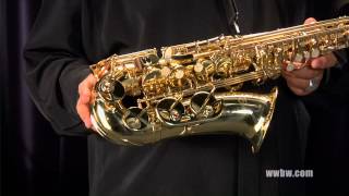 Etude EAS100 Student Alto Saxophone [upl. by Janene214]