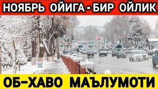 НОЯБРЬ ОЙИГА  БИР ОЙЛИК ОБХАВО МАЛУМОТИ ob havo [upl. by Kwan]