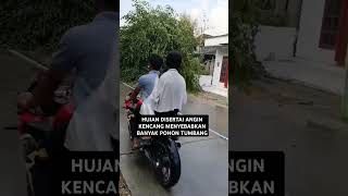 HUJAN DISERTAI ANGIN KENCANG MENYEBABKAN BANYAK POHON TUMBANG [upl. by Anifares]