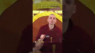 El sufrimiento nace del apego  Lama Rinchen Gyaltsen reprogramatumente [upl. by Fredette]