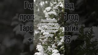 ПРОГНОЗ НА ЗИМУ ЧТО ЖДЕТ ЗИМОЙ Анонс таро будущее прогноз гадание тарогадание раскладтаро [upl. by Eal613]