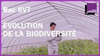 BAC SVT révisions  Évolution de la biodiversité [upl. by Violet]