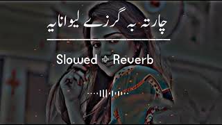 Charta Ba Garze Lewanaya SlowedReverb Pashto Song  Sad Song  Lofi Song  New Song 2022 [upl. by Jaddan]