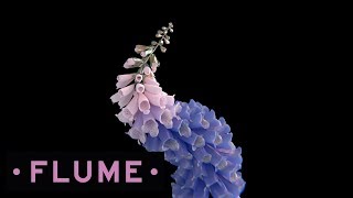 Flume  Like Water feat MNDR [upl. by Schuh]