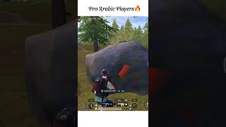 Pro Arabic Players 🔥 pubgmobile pubg ytshorts [upl. by Aniuqaoj923]