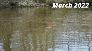 FLOAT FISHING for SPRING STEELHEAD  Insane Bobber Down Footage [upl. by Domenic]