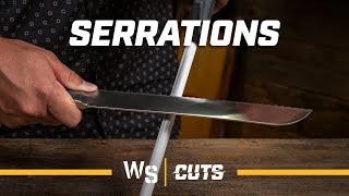 How to Sharpen a Serrated Knife  Use a Honing Steel or Ceramic Hone [upl. by Idolem]