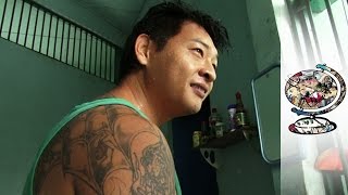 The Stories Of The Bali Nine On Death Row In Indonesia 2011 [upl. by Rik]