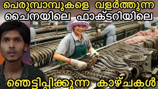 ഇവർ പാമ്പുകളെ വളർത്തുന്നത് ഇതിനാണ്  Malayalam  afrad  afru [upl. by Sirmons605]