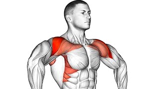 How to Get Build Wider Shoulders Home workout [upl. by Nevuer]