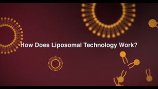 Dr Mercola How Does Liposomal Technology Work [upl. by Apollus]