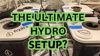 The Ultimate MEDIALESS hydroponic system for MINSTER ROOTS HydraUnlimited [upl. by Fields]