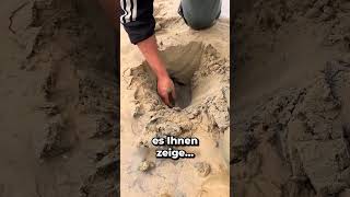 IM SAND GRABEN um einen SCHATZ ZU FINDEN 😱 [upl. by Amoreta]