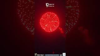 Top 6 most beautiful FIREWORKS shells 2024 shorts fireworks experiment pyro [upl. by Nwahsor]