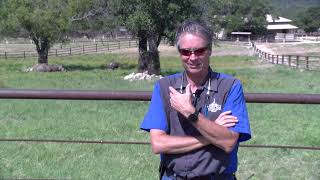 Texas Horned Lizards at Fossil Rim [upl. by Jansson]