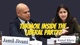 Turmoil Inside the Liberal Party Whats Really Happening [upl. by Edylc317]