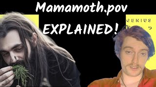 Plagued Moths LOLCOW Cycle EXPLAINED [upl. by Ahseiym]