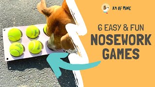 6 Nosework Games for Dogs Easy Simple Scentwork [upl. by Pope]