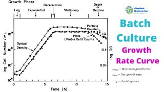 Growth Rate Curve Maximum net specific growth rate Doubling Time [upl. by Ahsien]