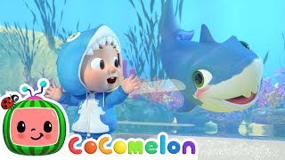 Baby Shark  CoComelon Nursery Rhymes [upl. by Yklam45]