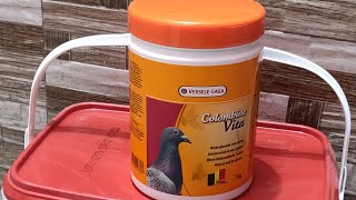 Colombine Vita  Versele Laga  Mineral Supplement  Rai Pigeon Supplies [upl. by Akerdna]