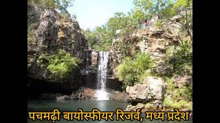 Pachmarhi Biosphere Reserve Madhya Pradeshपचमढ़ी बायोस्फीयर रिजर्व मध्य प्रदेश [upl. by Peery293]