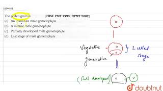 An anther with two microsporangia is found in [upl. by Kuehn]