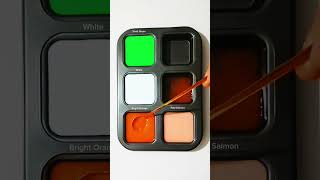 Color mixing 112 color mixedcolour colormixing colorfulmixing colorcombination satisfying [upl. by Lucais]