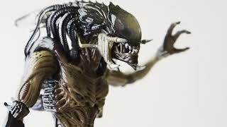 Hiya Toys AVP Requiem Predalien Figure Review [upl. by Oakley520]