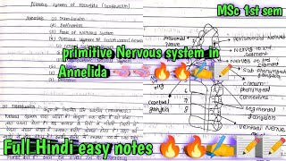 nervous system in Annelida  Earthworm 🪱🪱🪱msc 1st sem invertebrate hindi easy notes 🔥🔥🔥📝📝📝✍️✍️ [upl. by Illehs754]