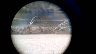 view through binoculars 10x30x60 [upl. by Imehon]