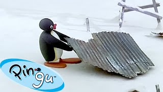 Productive Pingu 🐧  Pingu  Official Channel  Cartoons For Kids [upl. by Aillil]