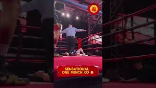 Sensational One Punch KO😱 [upl. by Dorraj]