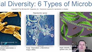 Chapter 1 Introduction to Microbiology [upl. by Nnire737]